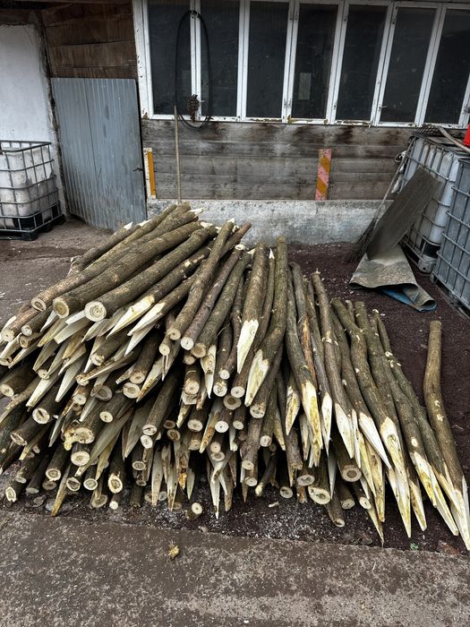 Vănd stalpi de Salcâm