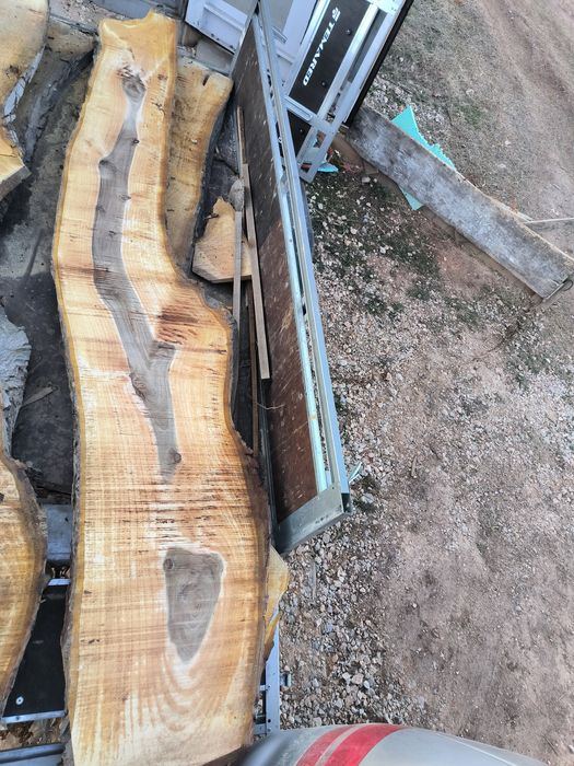 Орех разбичен на янове