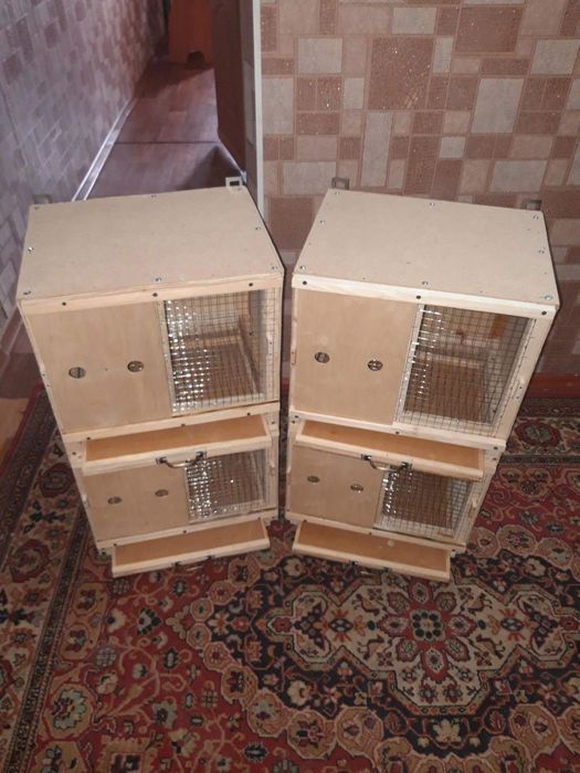 Парольная для голубей