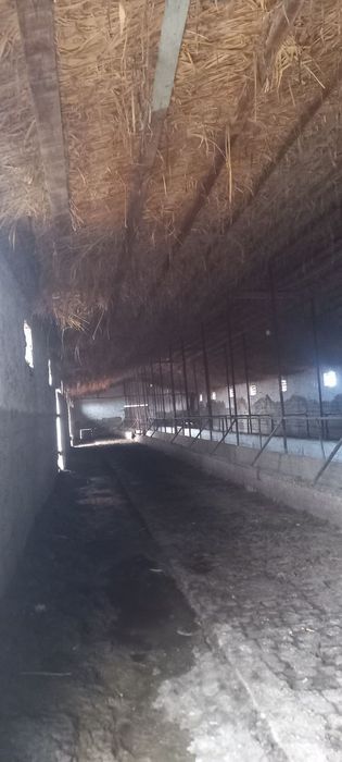 Продаётся ферма , Чирчик , электр, газ есть