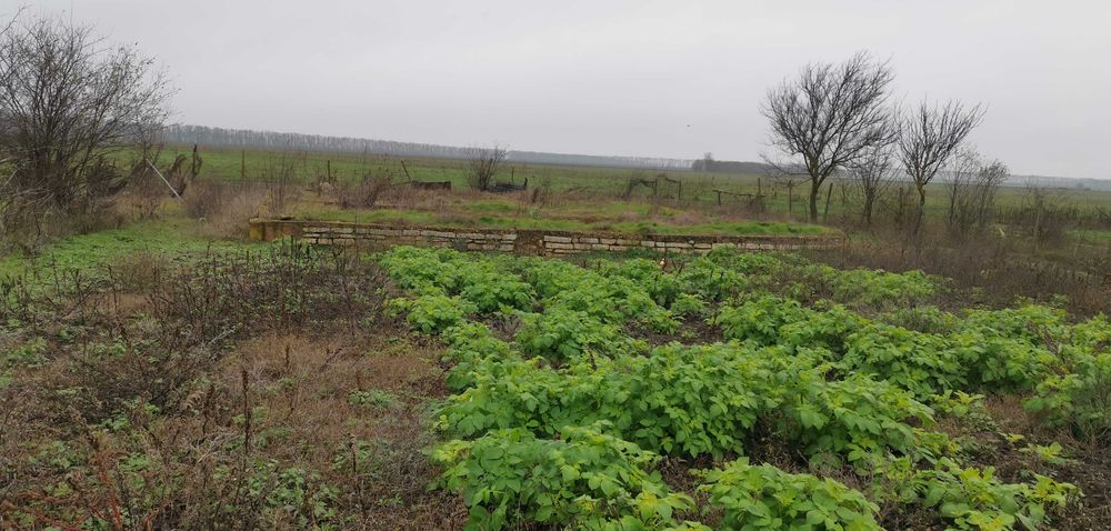 Продава се Парцел в Балчик - 1290 кв.м за 30 €/кв.м - Снимка #3