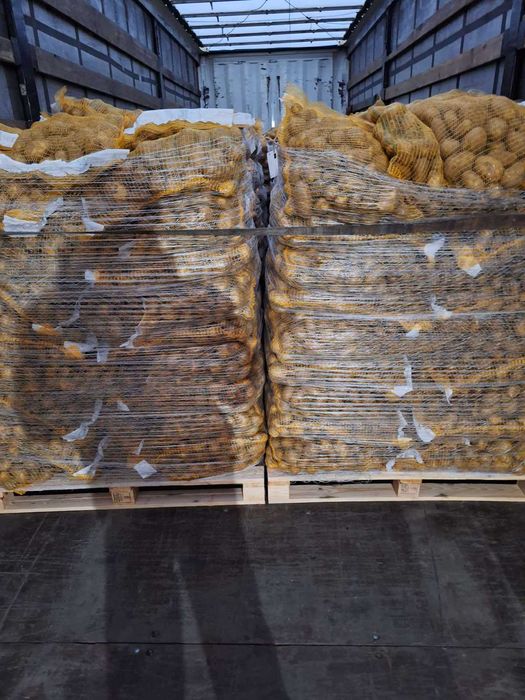 Продвам каротфи на едро - сортове Сорая и Гала, 5,10,15 кг, цена с ДДС