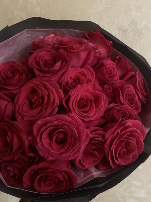 25шт голландские розы