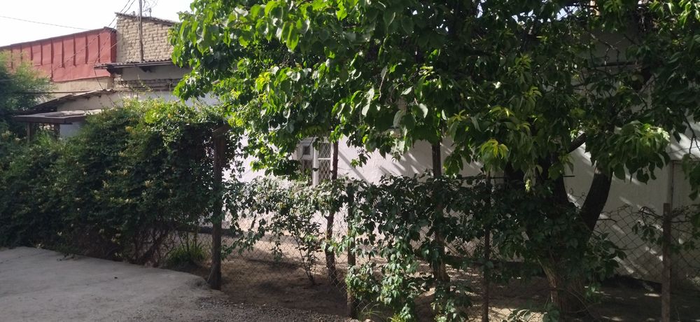 Сузангарон:1, 5-соток.Продажа дома.