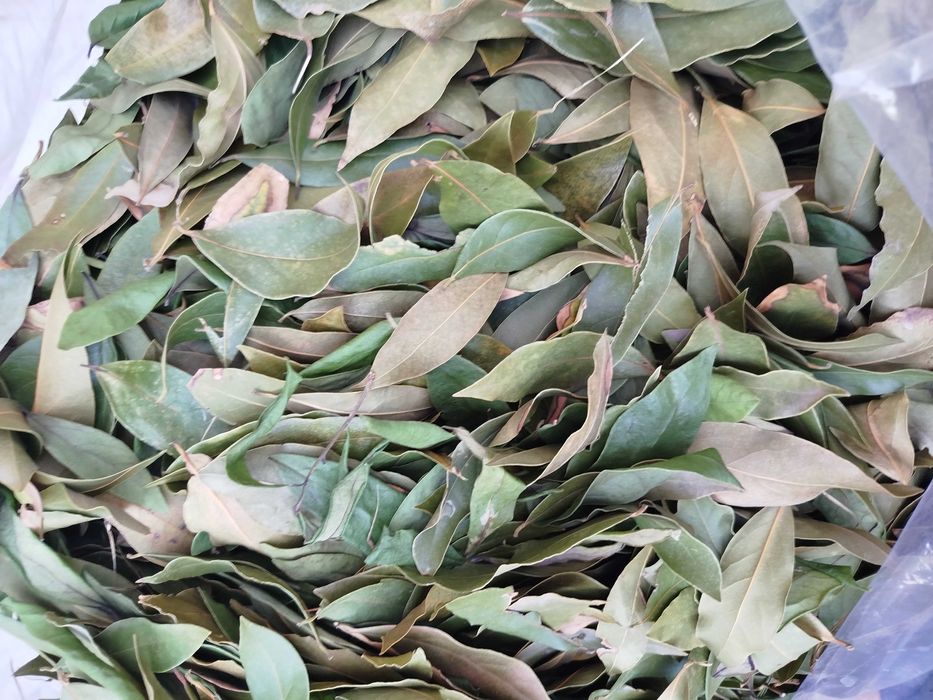 Дафинов лист сушен