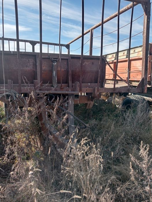 прицеп ПТС 9 (сеновозка)