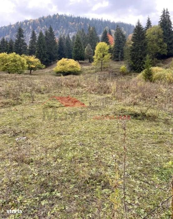 Teren intravilan, Lunca Ilvei