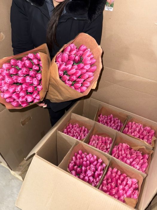 Тюльпаны предзаказ на 8е марта