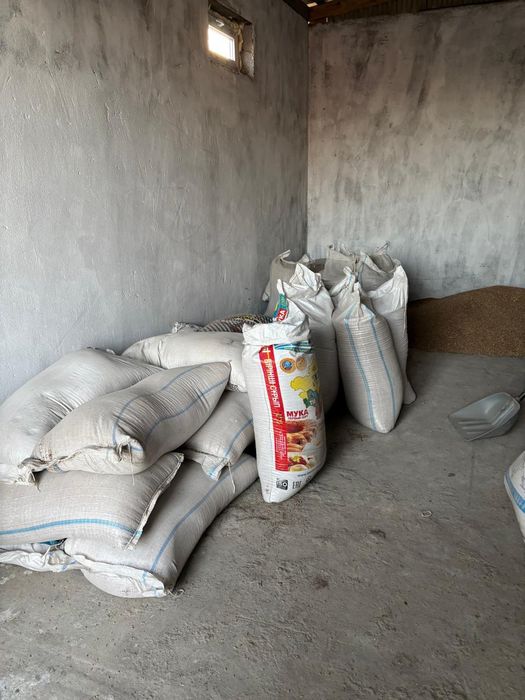 Трактор МТЗ 892.2