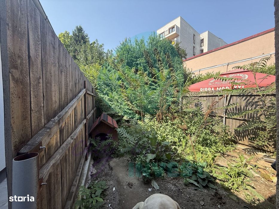 Casa adiacent Pache Protopopescu