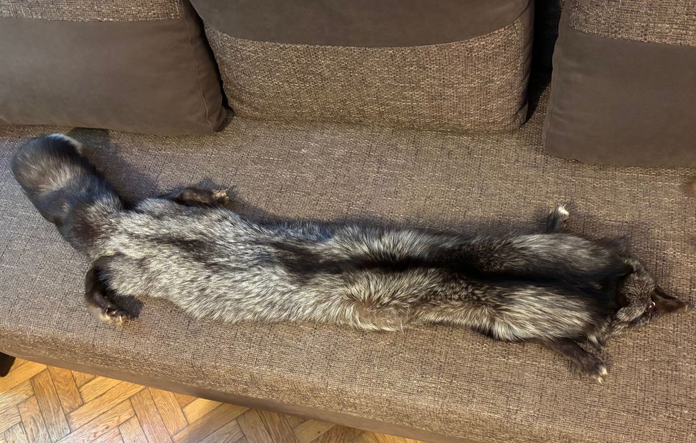 Guler din blana integrala de vulpe argintie - produs nou