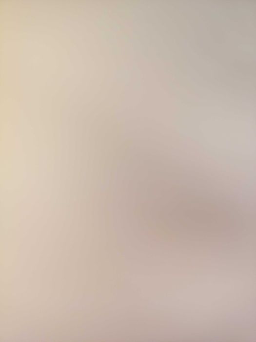 Два големи заека