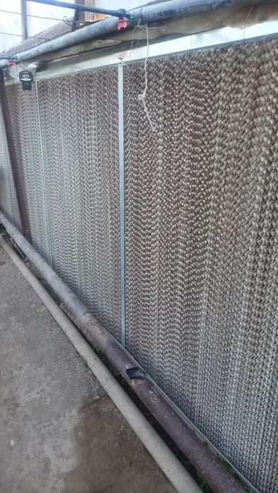 Teplitsiya oxlajdeniya