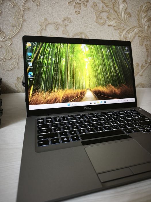 Dell Latitude 5410