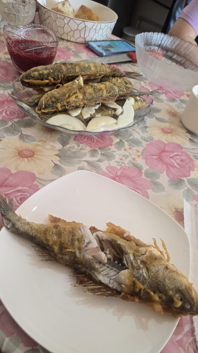 Рыба окунь с Алаколя свежие