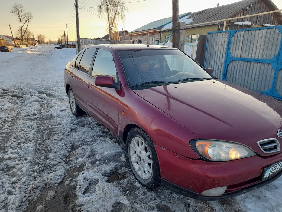 Продам ниссан примьера п  11