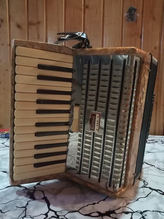 Acordeon Timiș - Select din anii '70