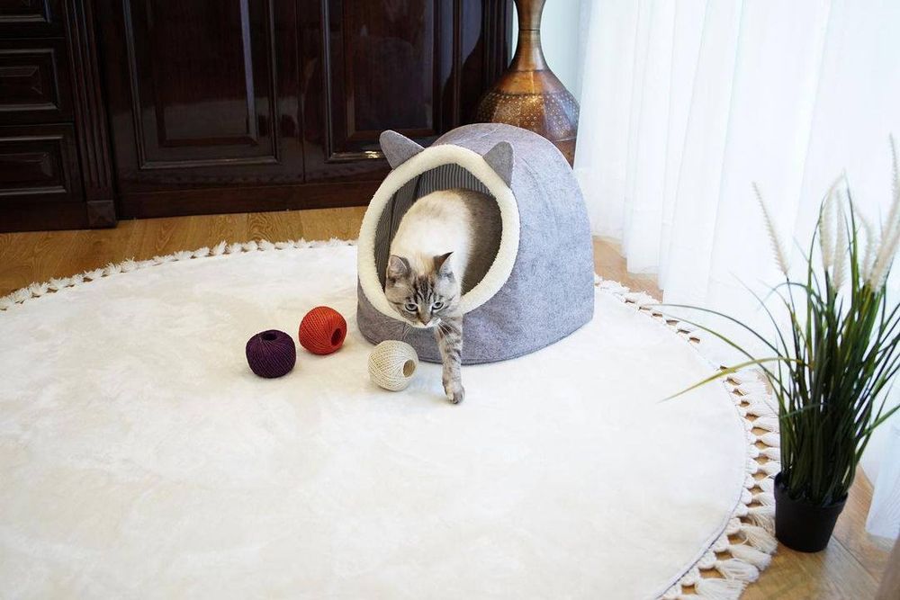 Kuchuk mushuklar uchun domik