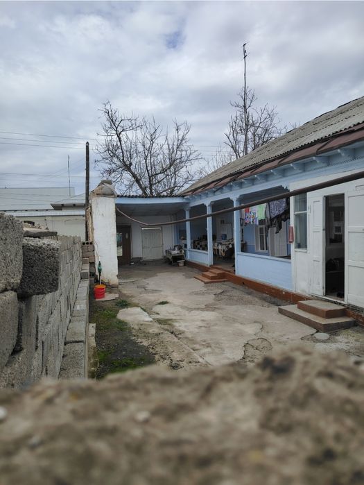 Чинозда уй сотилади