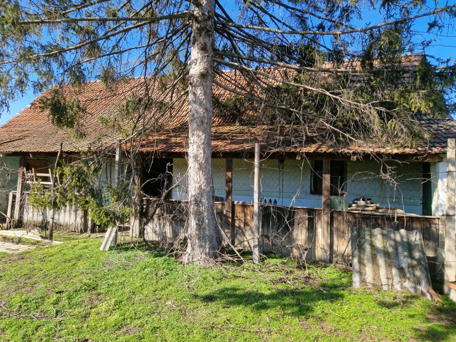 Vând casă veche in Dorobanți jud Arad