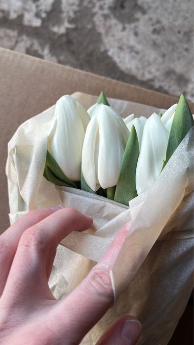 Оптом тюльпаны Беларусь