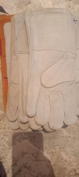 Кишки Форма сотилади