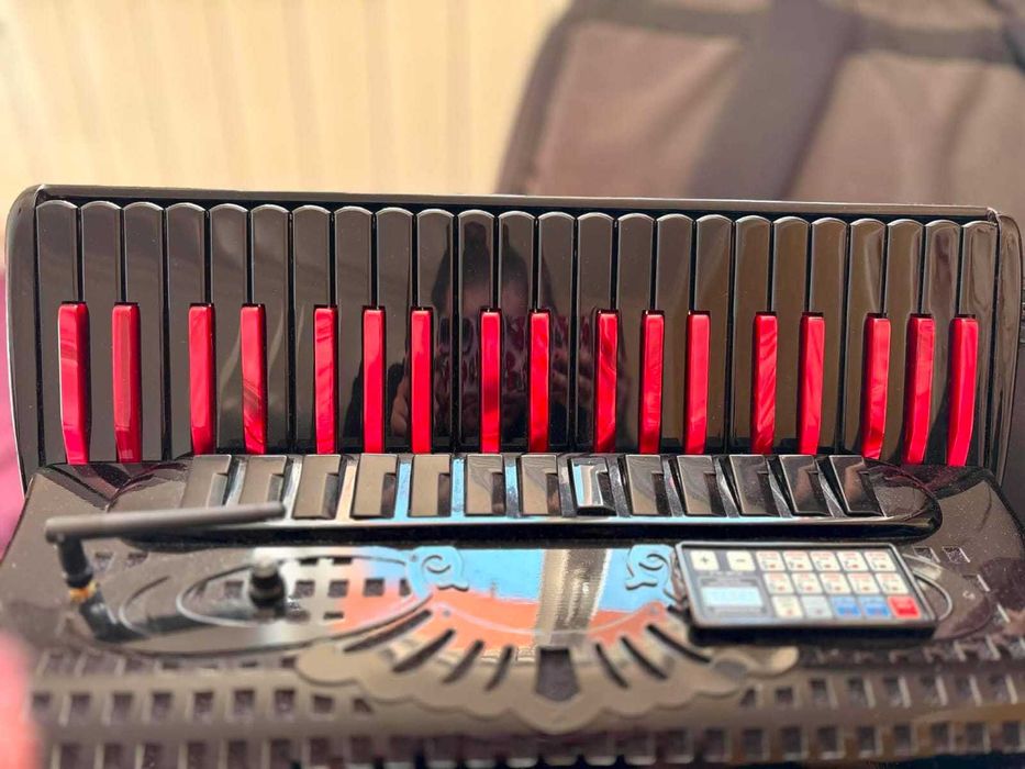 Vând acordeon electronic cu micro 1