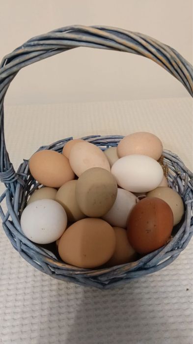 Домашние свежие яйца