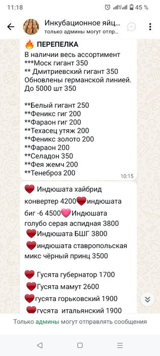 Инкубационное яйцо