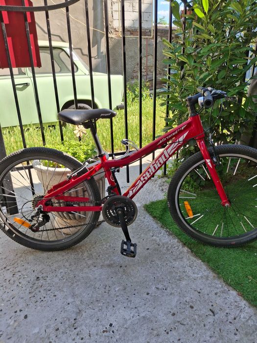 Bicicleta Pegas.
