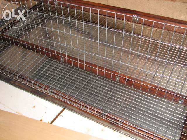 Клетки для перепелов