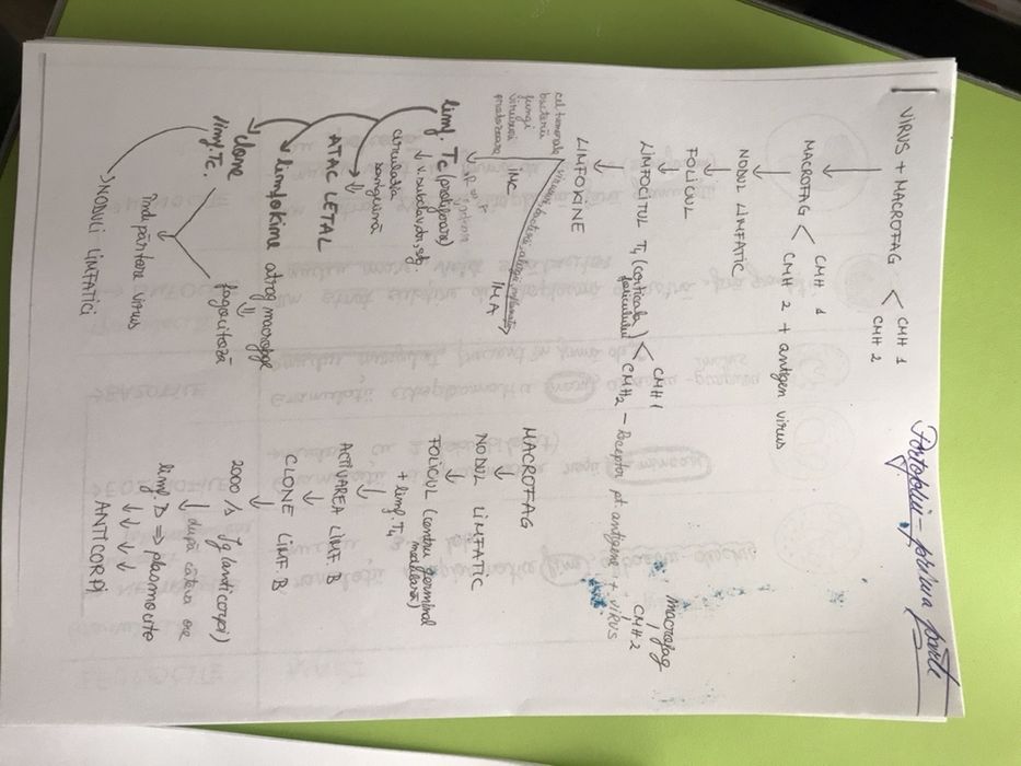 Materiale Admitere UMFST oferta promotionala