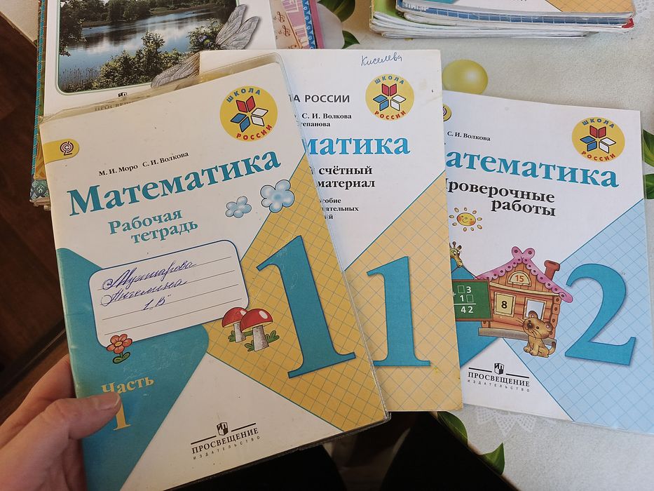 Дошкольное образование