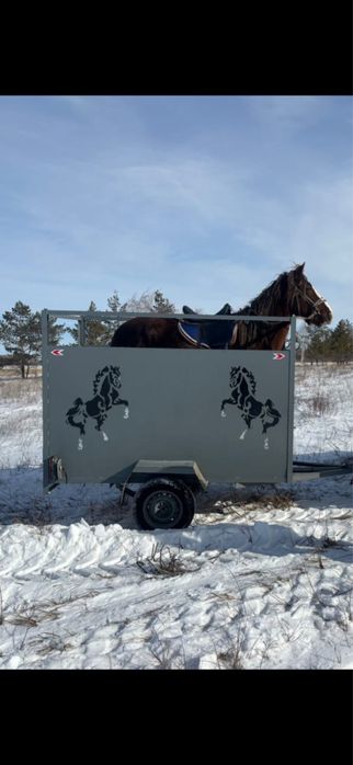 Продам прицеп скотовоз новый!