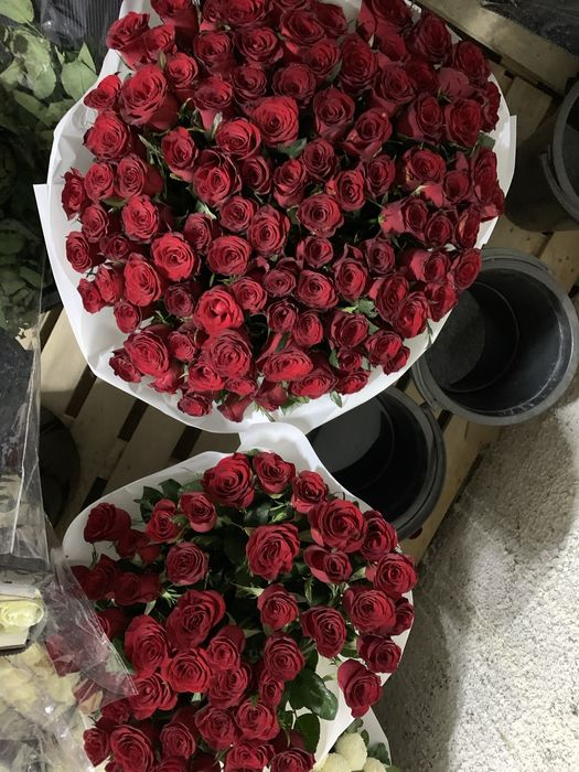 цветы красивые срочно срочно