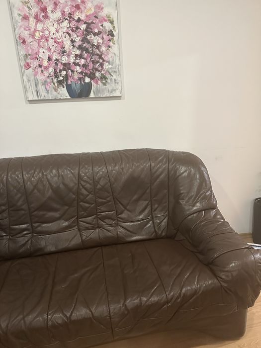 Doua canapele de piele