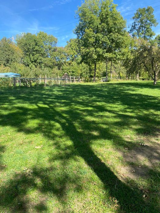 Teren de vanzare in comarnic