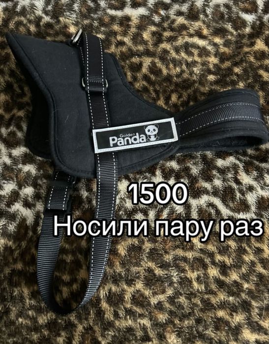 шлейка для собак