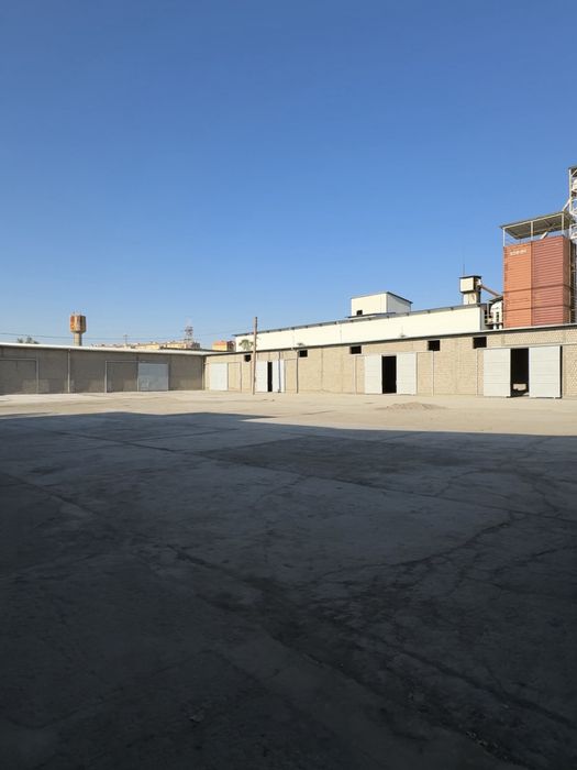 Жапондық қоғамдық көліктегі порнофильм