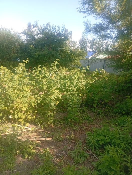 Продам дачу в пос.Мирный 2 млн торг