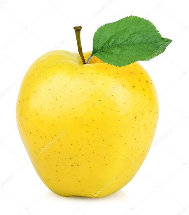 Мевали дарахт кўчатлари сотувда