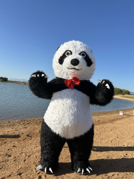 Гиганстка Мечка или Падна