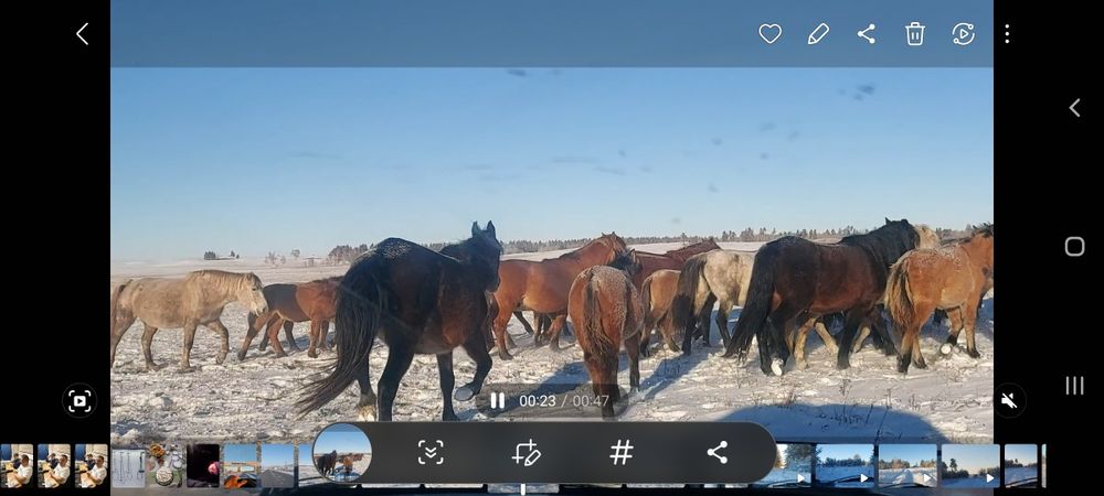 шаруашылық сатылады, продам хозяйство