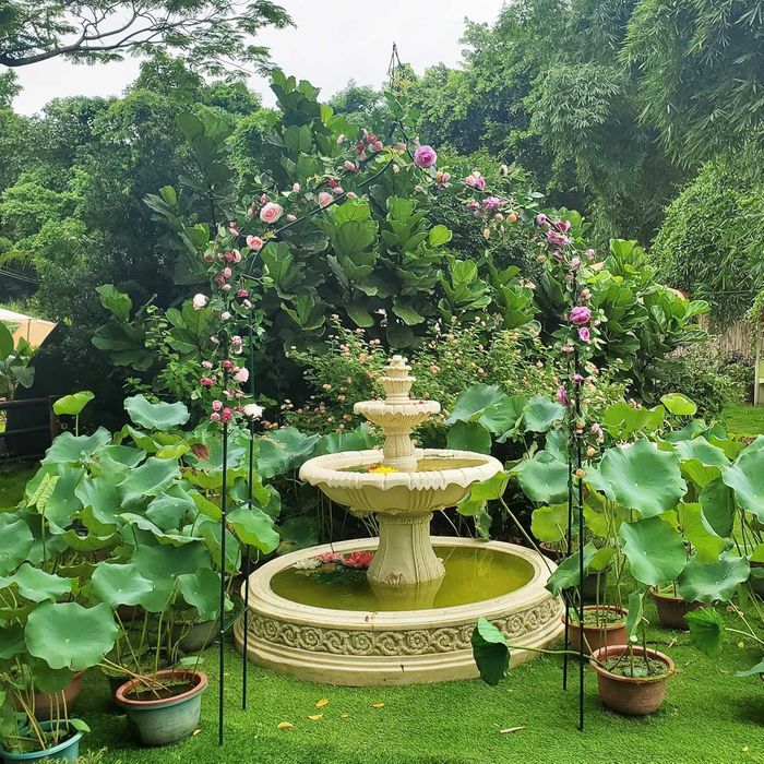 Арка за рози увивни растения Gothic Style® сватбен дом градина хотел