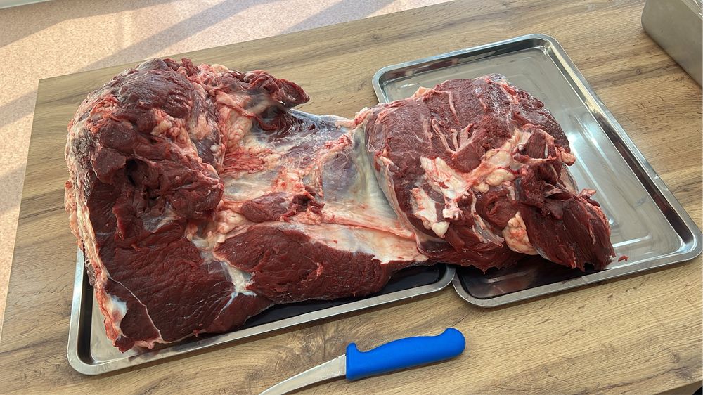 Продам мясо говядины тушами