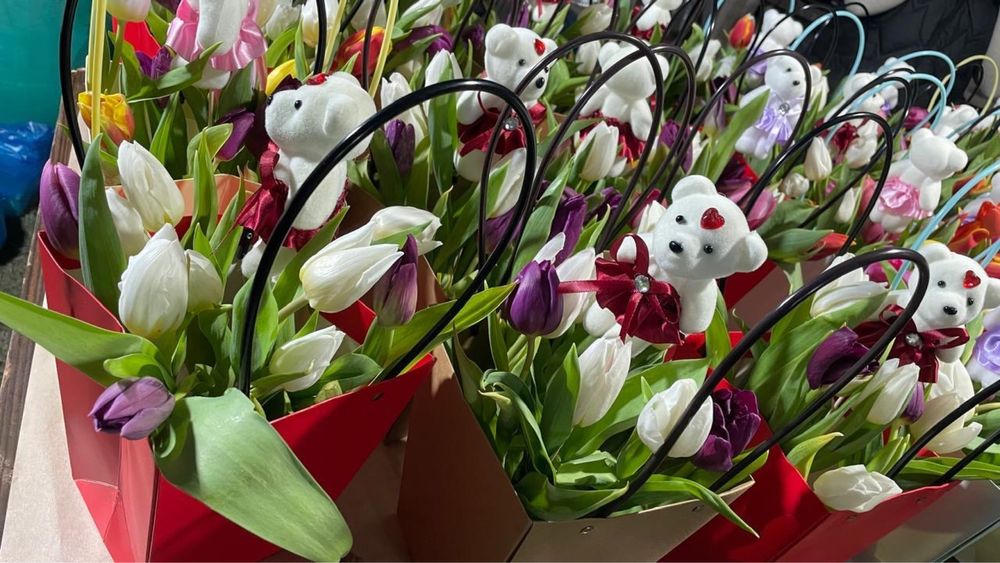 Тюльпаны оптом свежие