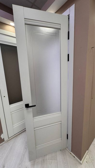 Двери (только полотно)