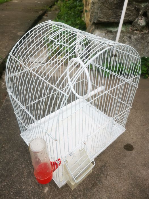 Cusca papagali cu accesorii