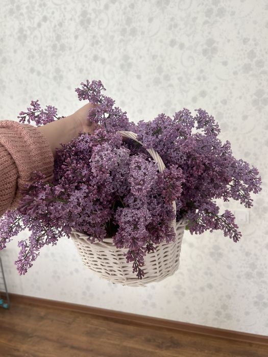 Сирень ,свежий ,красивый