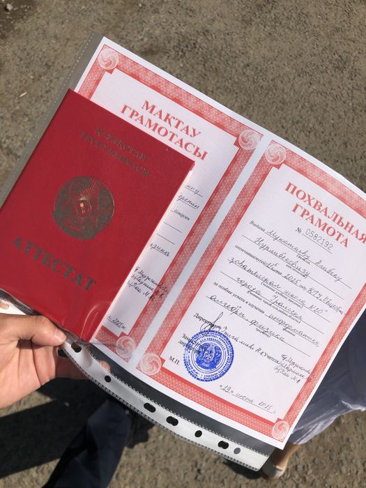 Репетитор|Математика|Информатика|Программирование
